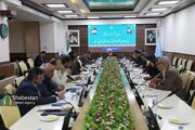 تشکیل کارگروه ویژه قضایی برای تعیین تکلیف یک مجموعه گردشگری در کرمان/ صیانت از واحدهای تولیدی با مدیریت بحران برق