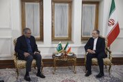 دیدار وزیر کشور پاکستان با سیدعباس عراقچی