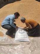 ۶۵ طرح اشتغال‌زایی با مشارکت زکات در ایلام اجرا شد