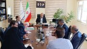  شهرستان‌ها رکن اصلی توسعه فرهنگ و هنر استان هستند
