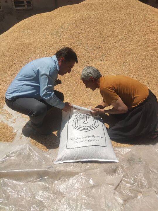 ۶۵ طرح اشتغال‌زایی با مشارکت زکات در ایلام اجرا شد