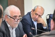 حذف ارز ترجیحی و انتقال آن به انتهای زنجیره اجتناب‌ناپذیر بود