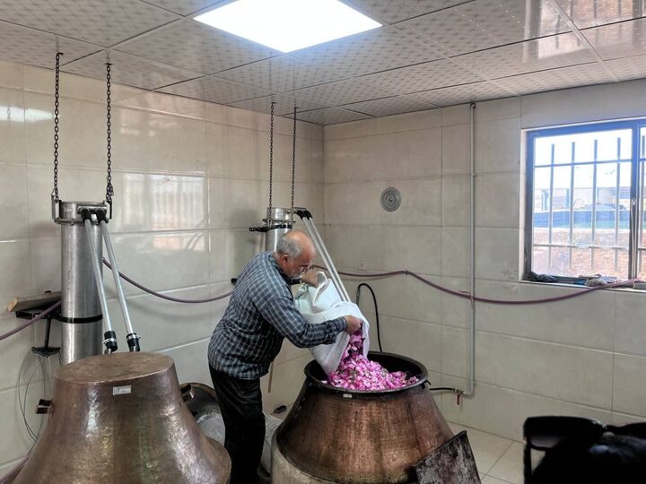 پیش بینی تولید ۴ تن گلاب در موسسه مصباح حسینیه اعظم زنجان
