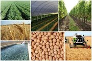 کشاورزی کردستان در مسیر توسعه پایدار؛ از افزایش تولید تا تکمیل زنجیره ارزش