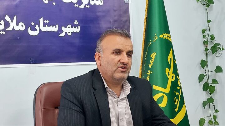 ملایر؛ قطب طلایی کشاورزی استان با گام‌های بلند به سوی مدرنیزاسیون