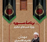 ویژه برنامه محرمی «سوره» روی آنتن شبکه چهار سیما