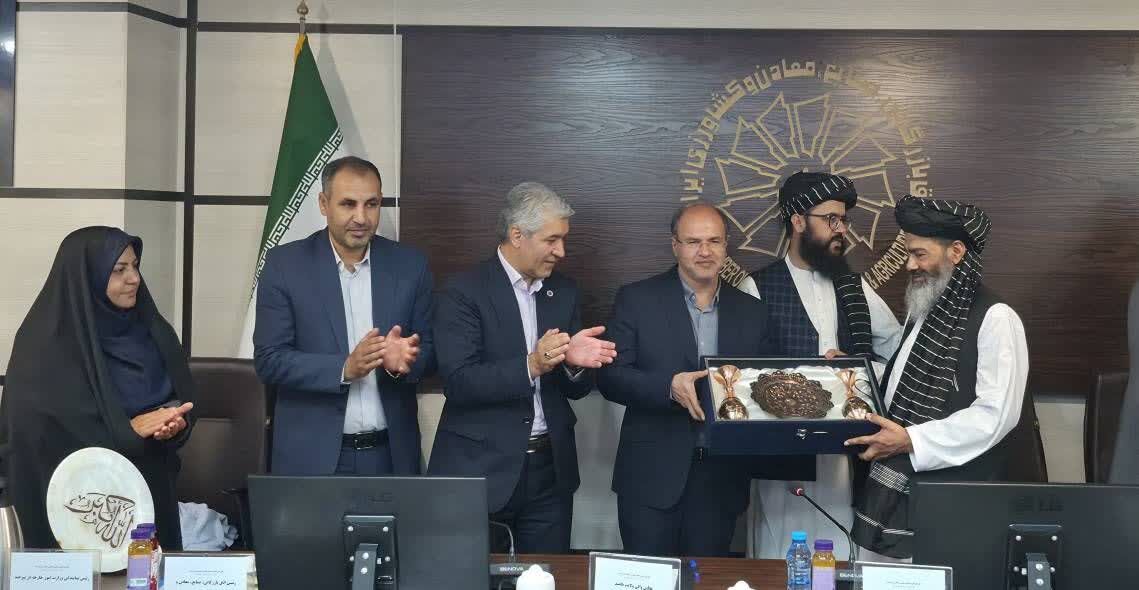 هلمند آماده جذب سرمایهگذاری و گسترش همکاریهای اقتصادی با خراسان جنوبی است