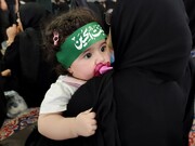 همایش شیرخوارگان حسینی در جیرفت