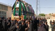 روایت یک میراث عاشورایی؛ نخل‌گردانی، میراث ماندگار محرم در آباده