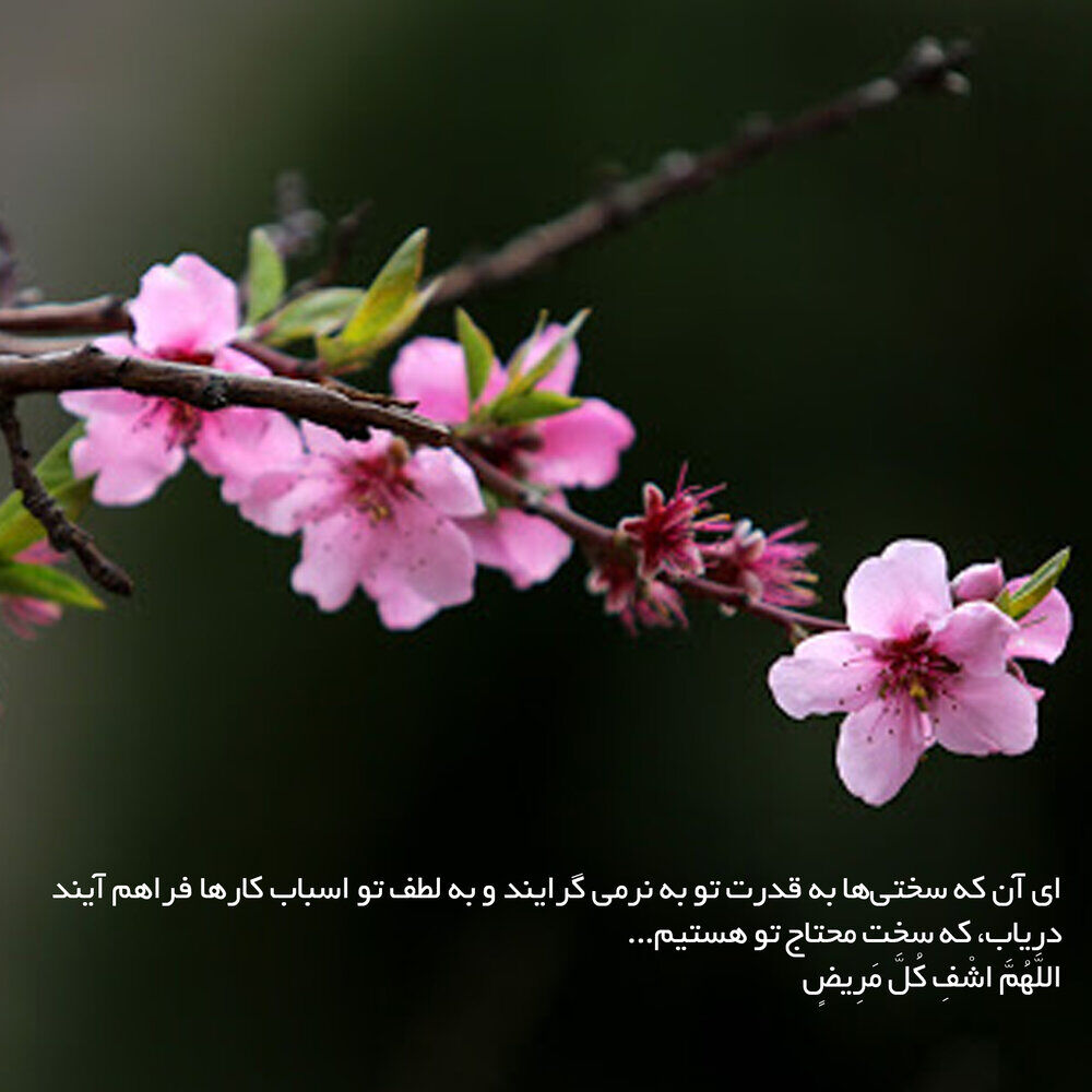 کُدگذاریهای حکیمانه در صحیفه سجادیه؛ چگونه دعا کنیم؟