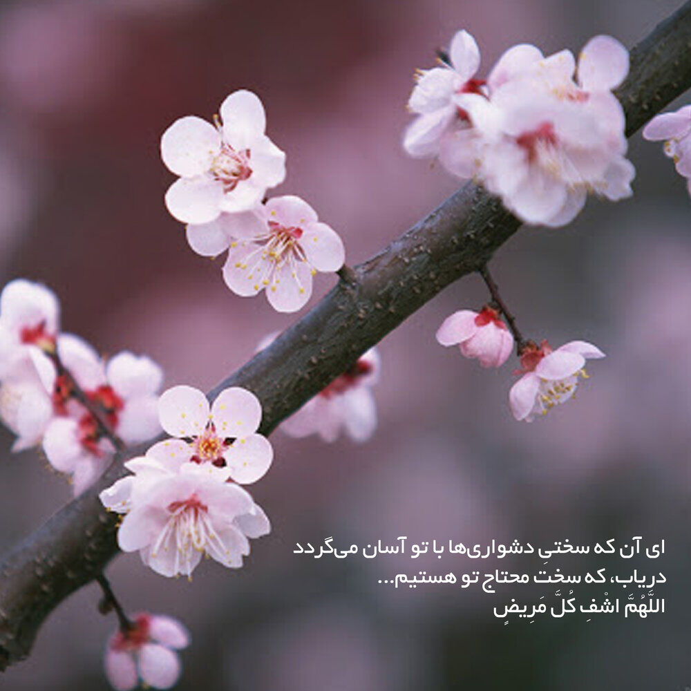 کُدگذاریهای حکیمانه در صحیفه سجادیه؛ چگونه دعا کنیم؟