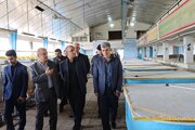 احیای ذخایر خزر نیازمند مدیریت علمی صید