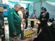 خدمت عاشقانه خادمیاران رضوی خراسان جنوبی در مشهد
