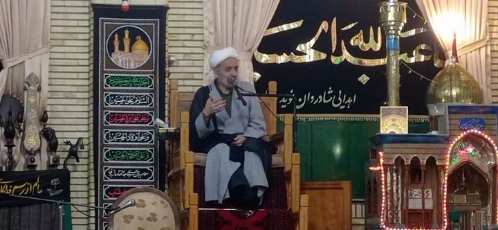 امام رضا (ع)؛ محور وحدت و نماد عقلانیت در جریان‌شناسی شیعه