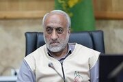 ۶۰۰ خادمیار در ۴ موکب رضوی، به زائران اربعین خدمت‌رسانی می‌کنند