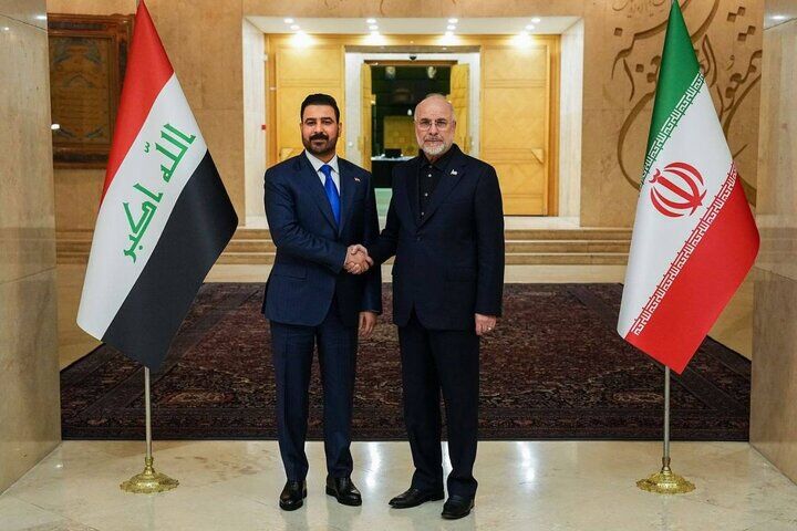 نخست‌وزیر عراق با رئیس مجلس دیدار کرد