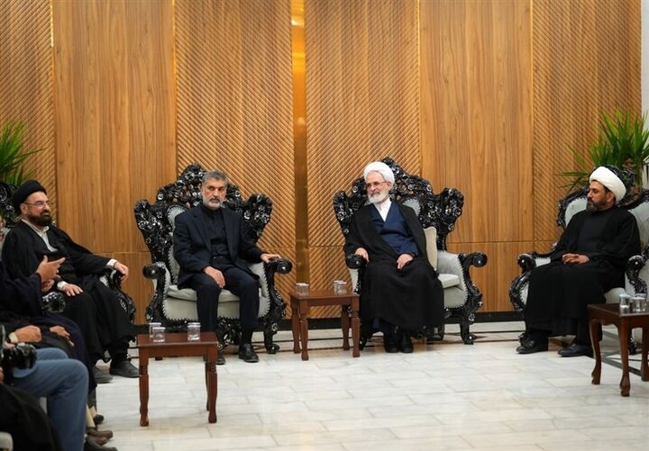 آیت‌الله اعرافی با پیام قدردانی از ملت و مراجع عظام عراق وارد نجف شد+ عکس