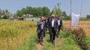 حمایت از کشاورزان، حمایت از تولید ملی، امنیت غذایی است