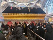 خانه پدری در نجف اشرف؛ حرم مطهر علوی در آستانه اربعین حسینی