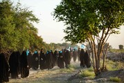 موکب «الزهراء(ع)»؛ پیاده‌روی زنانه در دل صحرا به مقصد کربلا