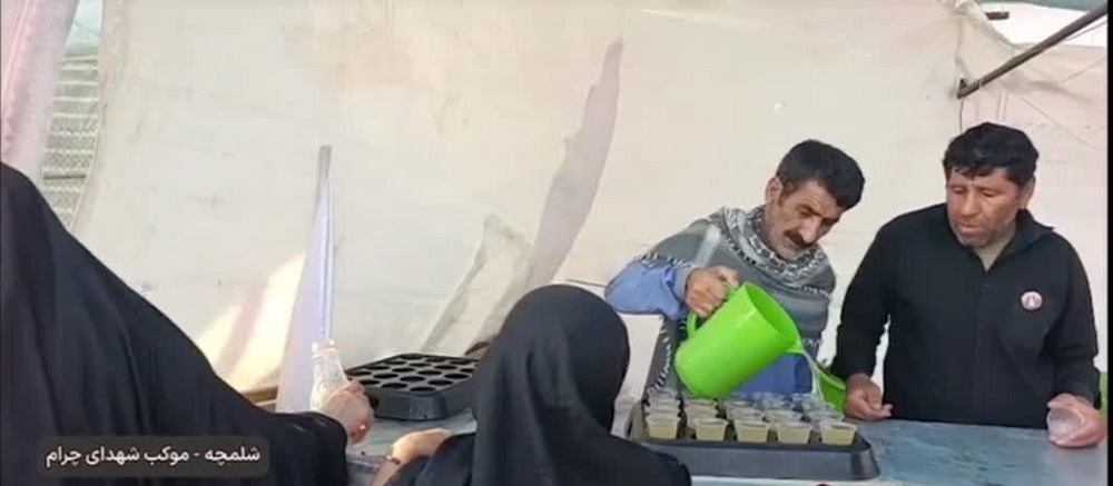 ۱۱ سال خدمت بی‌وقفه؛ موکب شهدای چرام در عمود ۲۵۳ شلمچه میزبان زائران اربعین