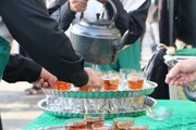 خادمی جاماندگان اربعین به سبک مواکب طریق الحسین(ع)