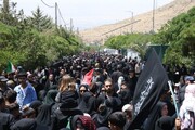 پیاده‌روی جاماندگان اربعین در زنجان