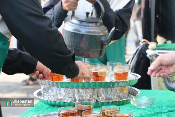 خادمی جاماندگان اربعین به سبک مواکب طریق الحسین(ع)