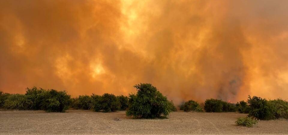 نجات میانکاله از آتش دهمین حریق
