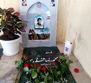 ادای احترام اهالی رسانه خراسان جنوبی به شهید خبرنگار «فرهادی»