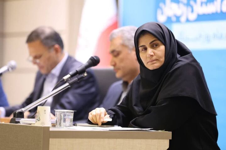 رفع موانع تأمین ارز و زیرساخت‌های پتروشیمی زنجان با جدیت پیگیری می‌شود