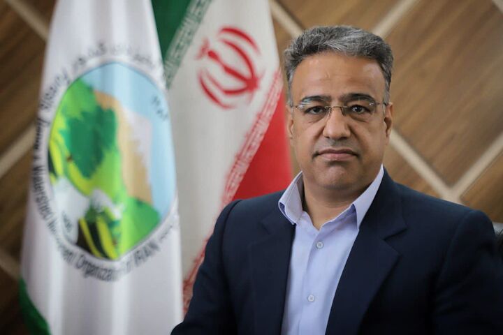 کاهش زمان پاسخگویی به استعلامات تخصیص اراضی ملی در استان مرکزی به ۵ روز