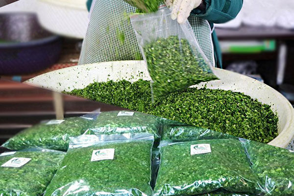 روایت بانوی کارآفرین بیرجندی از تولیدات خانگی تا بازارچه‌های مسجدی