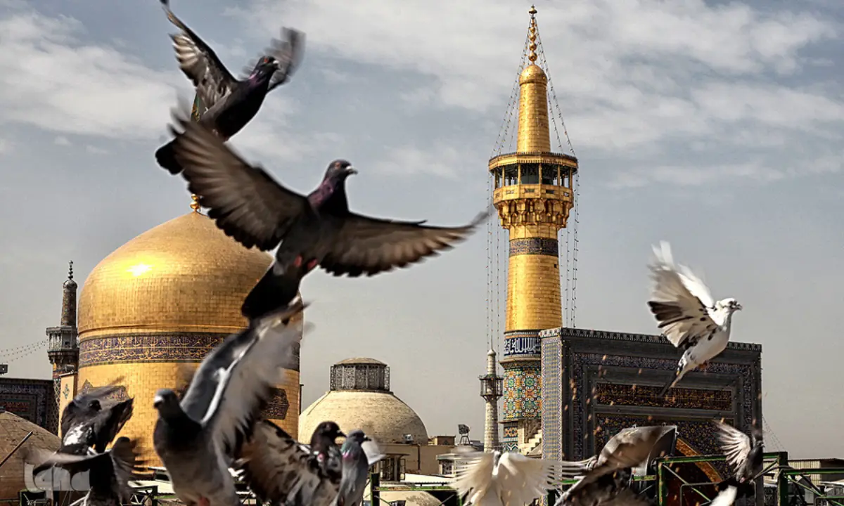 وقتی دل‌ها «یا رضا» می‌گویند