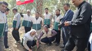 خادمیاران رضوی؛ سفیران همدلی و خدمت در میان مردم طبس