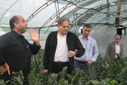 بازدید معاون فرهنگی و هنری مساجد کشور از کانون شهید گرائیلی خرماکلا