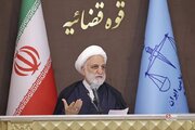 اژه‌ای: همه کارگزاران در قوای دیگر مکلف به کمک و مساعدت به دولت هستیم