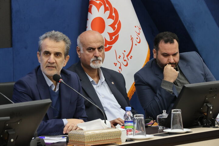 ۴۵ هزار خانواده دارای فرزند چندقلو تحت پوشش بهزیستی