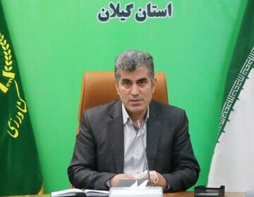 برداشت یک میلیون و ۱۵۰هزار تن شلتوک از اراضی گیلان