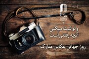 در ستایش نخستین قاب