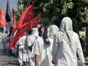 قدم‌به‌قدم تا شاهچراغ(ع)