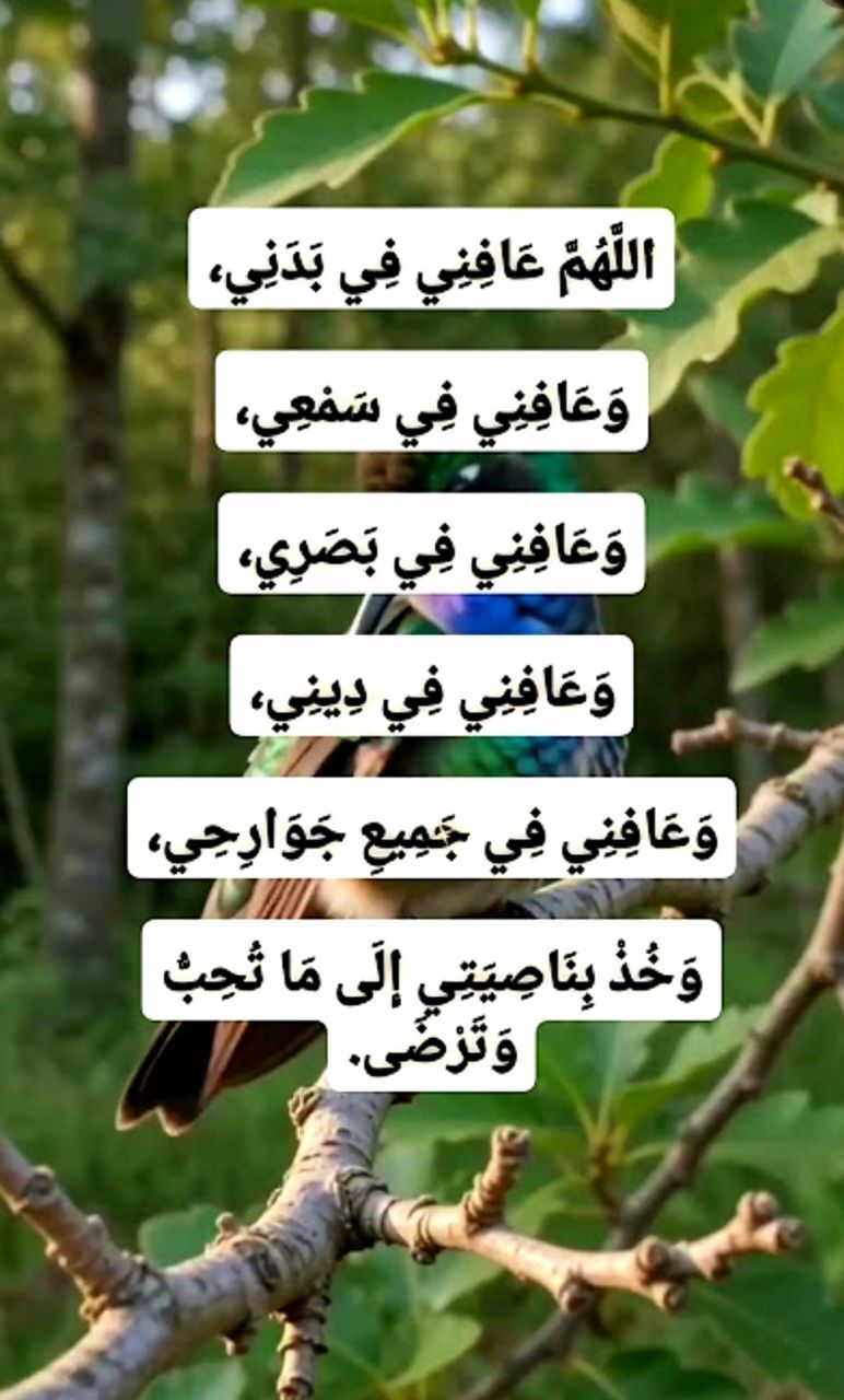 استعاذه؛ سیستم دفاعی و استراتژی حیاتی در جهان پرآشوب/ بدون پناهگاه الهی زندگی ناامن است
