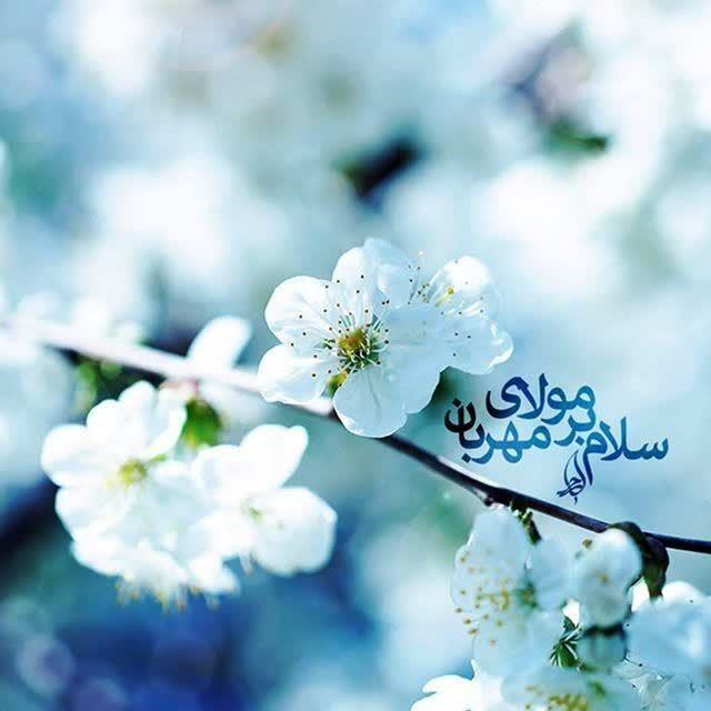 تلاش برای پیوند مهدویت با متن زندگی؛ تجربهای از مسجد امام حسین علیهالسلام کرمان