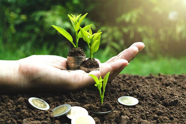 صدقه؛ سکه‌ای کوچک، اثری بزرگ