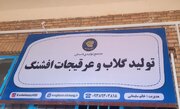 قصه کسب‌وکاری که در روستای مسک جوانه زد