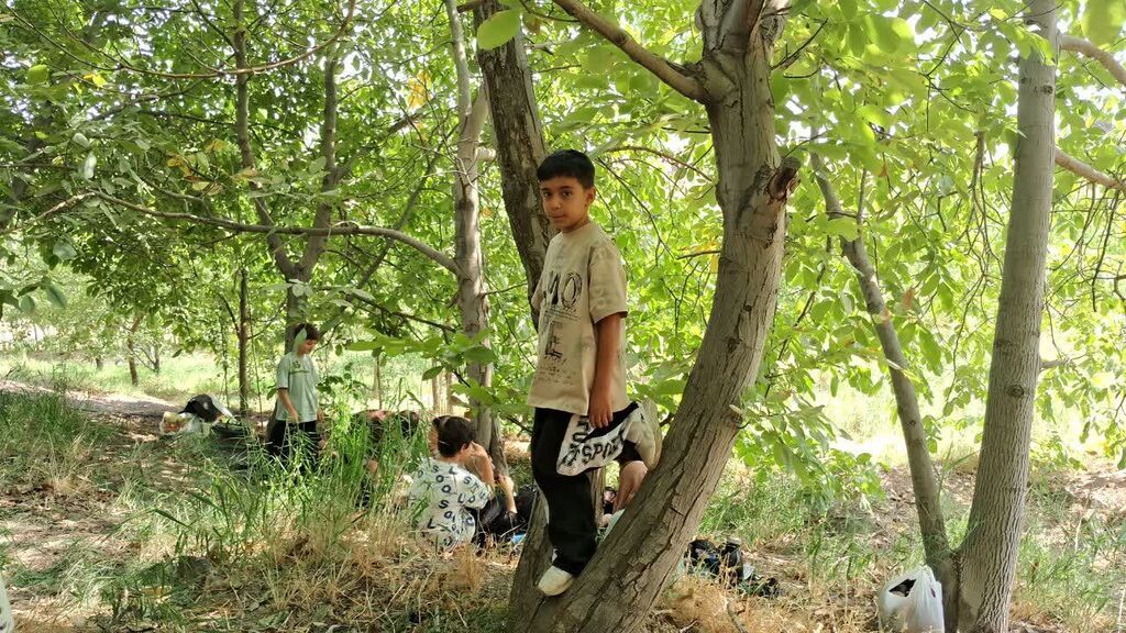 وقتی بازی‌های قدیمی، کودکان امروز را دور هم جمع کرد؛ روایت یک روز متفاوت در داربسر