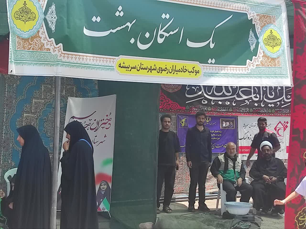سربیشه در مسیر خدمت رضوی؛ هر تخصص، یک فرصت برای خدمت