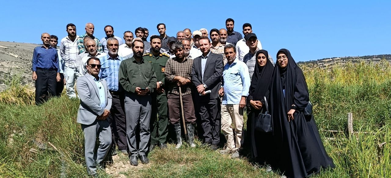 جهاد شالیکاران گلوگاهی در سنگر امنیت غذایی