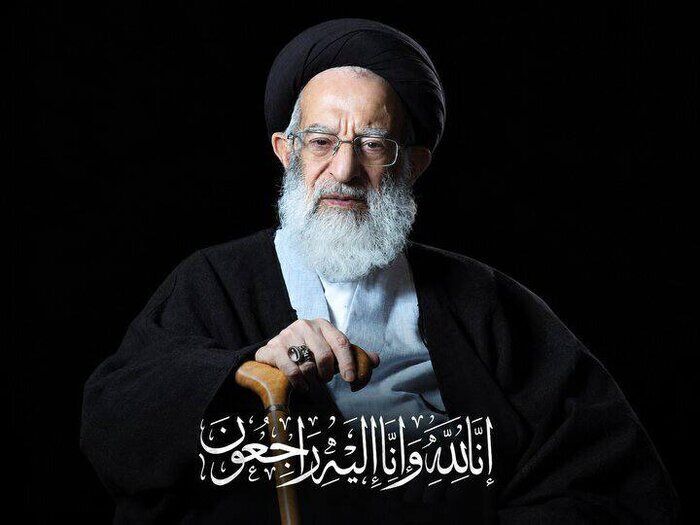 پیام تسلیت رییس سازمان حفاظت محیط‌زیست در پی ارتحال آیت الله شبیری زنجانی
