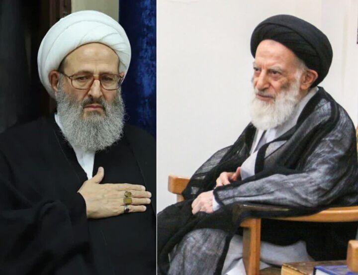 آیت الله شبیری زنجانی عمر پربرکت خود را در راه نشر و ترویج معارف ثقلین سپری کرد